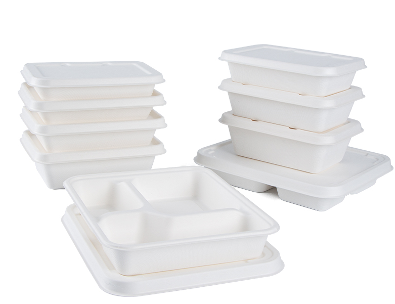 Biodegradable lunch box