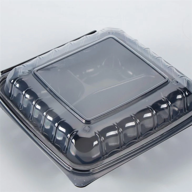 Eco Friendly Disposable Food Container