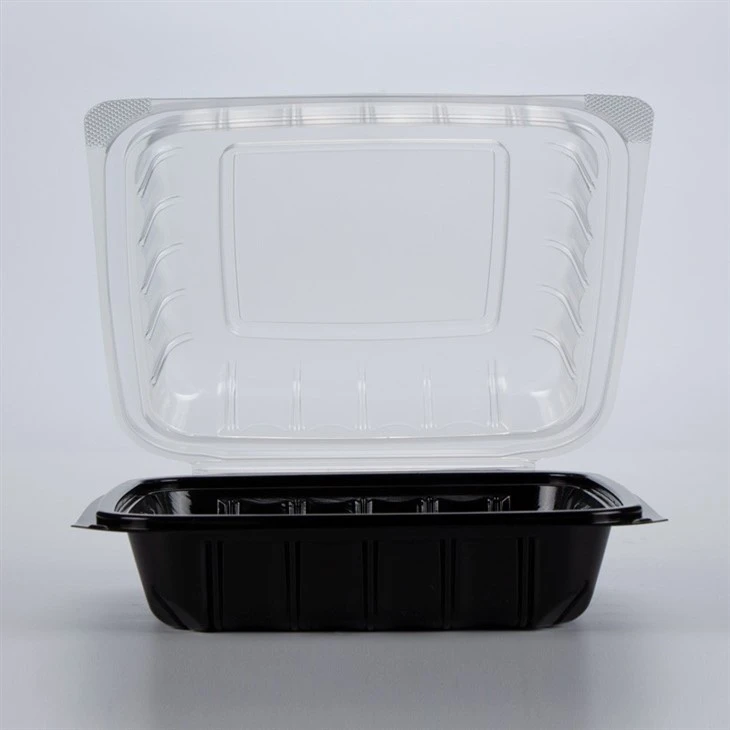 Eco Friendly Disposable Food Container