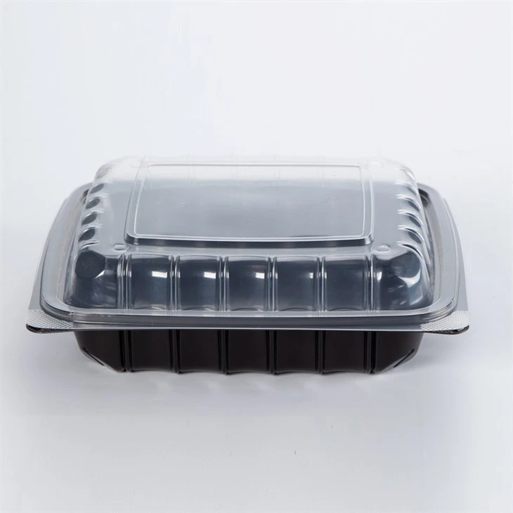 Eco Friendly Disposable Food Container