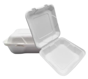 9'' Bagasse To Go oziq-ovqat idishlari
