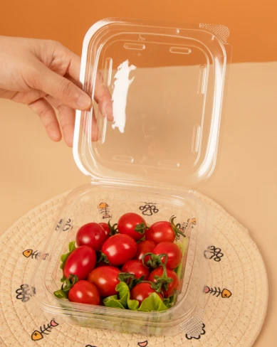 Plastmassa salat idishlari maydoni