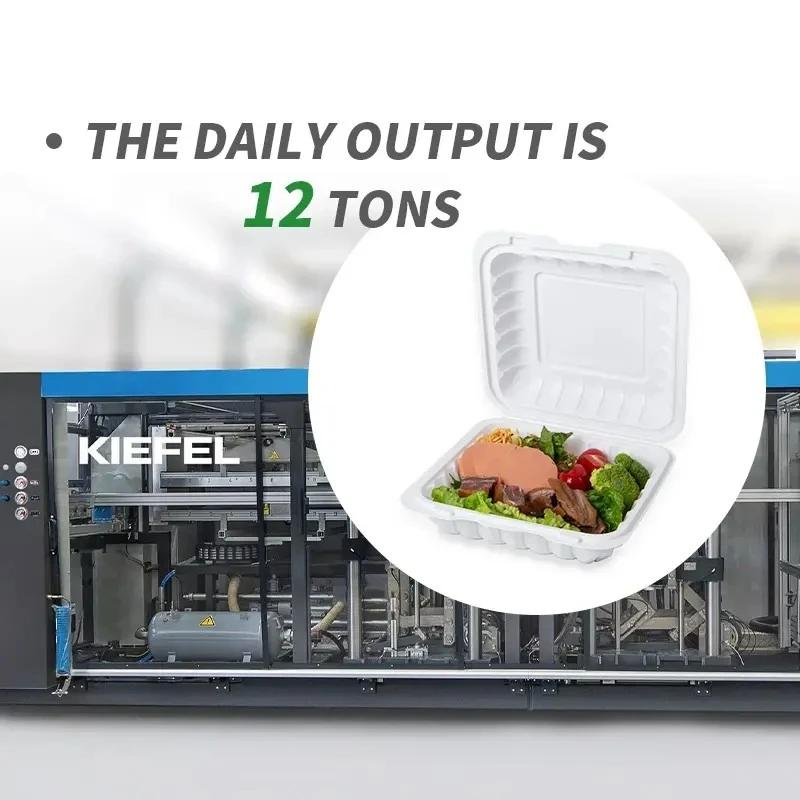 801D Eco-Friendly Takeout Containers