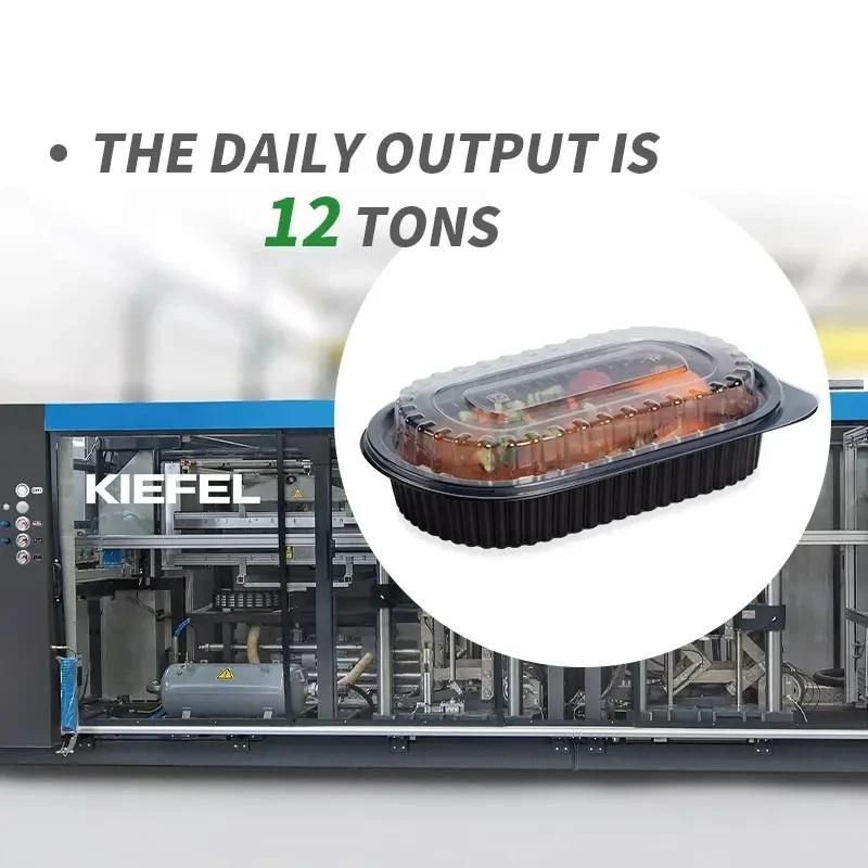 Disposable Container best