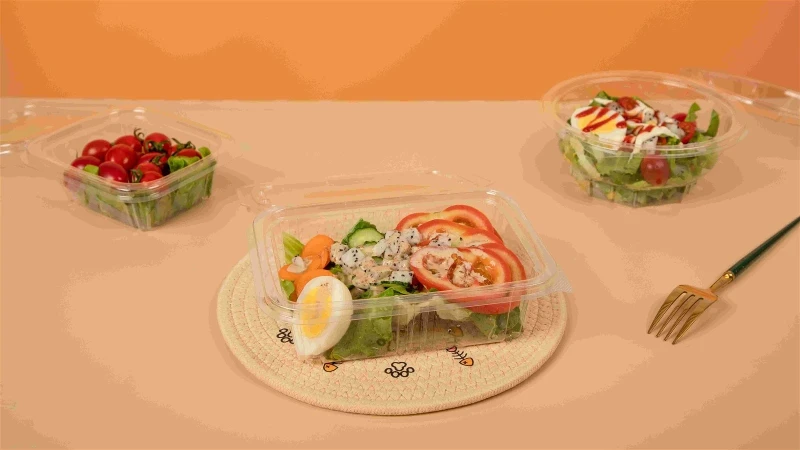disposable salad boxes disposable salad boxes