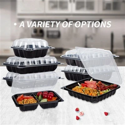 Plastic Take Out Food Container